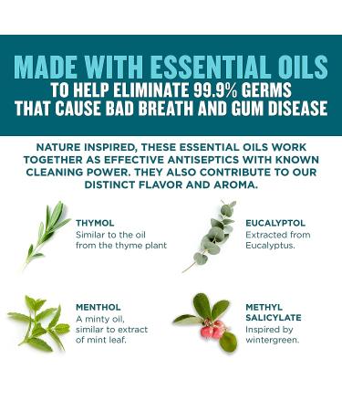 Listerine Ultraclean Oral Care Antiseptic Mouthwash with Everfresh Technology - 1.5 L Cool Mint - ADA-Accepted Tartar Control Oral Rinse for Bad Breath, Gingivitis, Plaque & Tartar - 50.72 Fl Oz - Buy Online on GoSupps.com