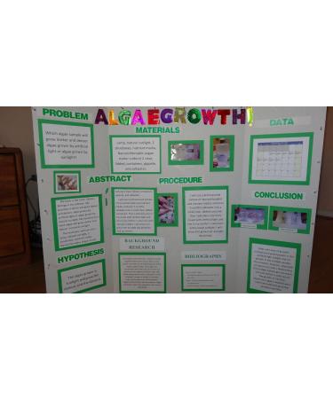 Algae Research Supply Algae Culture Kit Spirulina Perfect for School Science Fairs/Projects Experiments & Classrooms - Buy Online on GoSupps.com