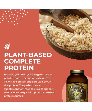 HealthForce SuperFoods Warrior Food Protein Powder - Carob Flavor - 500g | Premium Vegan Protein for Optimal Health - Buy Online on GoSupps.com