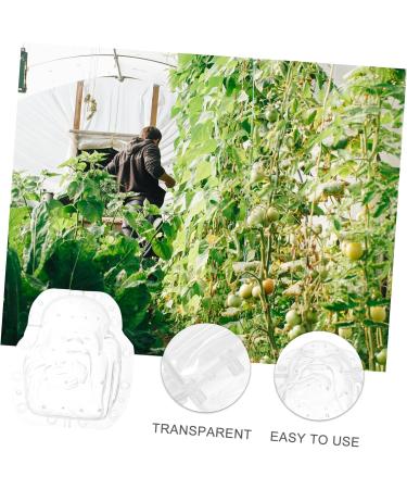 Happyyami 5pcs Fruit Shaping Watermelon Transparent Forming Stereotypes Ginseng Fruit - Buy Online on GoSupps.com