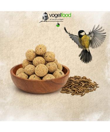 Buy 100 x 90g Insect Fat Balls - Year-Round Wild Bird Food | 9kg No Net Dumplings - Buy Online on GoSupps.com