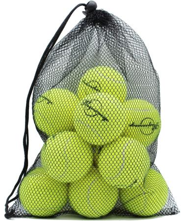 Magicorange 12 Pack Advanced Training Tennis Balls for Beginner Practice with Mesh Bag - Green - Buy Online on GoSupps.com