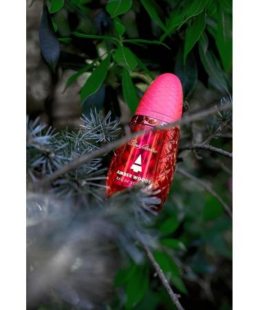 Pino Silvestre Amber Woods Perfume for Men - Aromatic Woody Spicy Scent - Blended with Lemon Lavender Patchouli and Sandalwood - for Bold Elegant Gentlemen - 4.2 oz EDT Spray - Buy Online on GoSupps.com