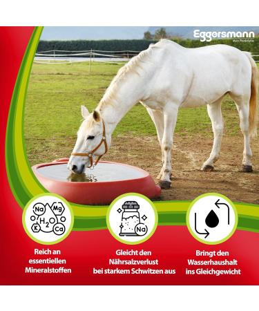 EGGERSMANN My Horse Feed Professional Electrolyte 1kg - Essential Supplement for Equine Nutrition & Hydration During Intensive Training - Buy Online on GoSupps.com