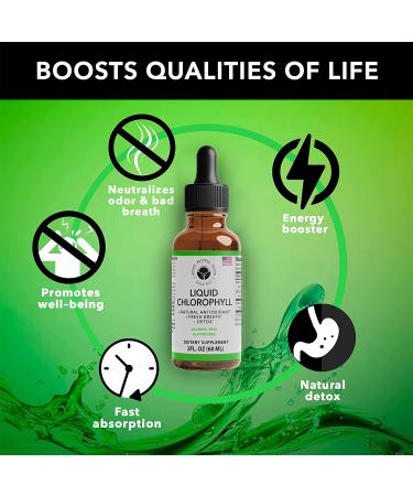 Premium Vegan Liquid Chlorophyll Drops (2oz) for Energy Boost, Gut Health, Detox, Hormone Balance & Immune Support - Internal Deodorant by Super Natural Goods - Buy Online on GoSupps.com