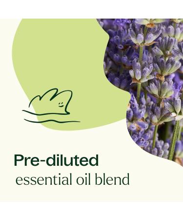 Plant Therapy Blissful Dreams Essential Oil Blend Relaxation While Supporting Quality Rest Grounding & Soothing Bedtime Aroma 10 mL (1/3 oz) 100% Pure Pre-Diluted Roll On Natural Aromatherapy - Buy Online on GoSupps.com