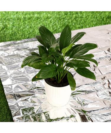Maitys 4 Pcs Emergency Blankets - High Silver Reflective Mylar Film - Hiking & Rescue Heat Protection - Garden Greenhouse Covering - Buy Online on GoSupps.com