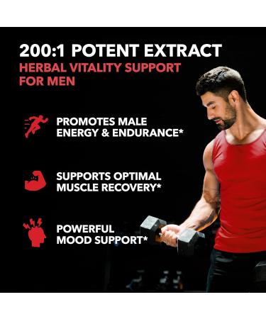Longjack Tongkat Ali for Men - 200:1 Extract 1 250mg - Boost Male Health Performance & Energy - 60 Capsules - Buy Online on GoSupps.com