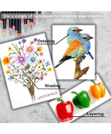 KALOUR 72 Colors Colored Pencils Set - Artists Soft Core for Drawing & Coloring, Ideal for Adults & Kids - Buy Online on GoSupps.com