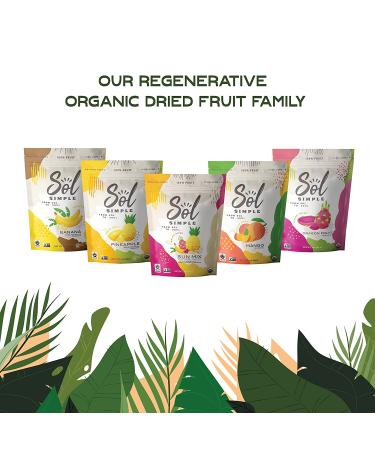SOL SIMPLE Organic Dried Dragon Fruit Snack Pack - 3 Bags (3oz each) | Vegan, Non-GMO, No Added Sugar | Fair Trade Certified - Buy Online on GoSupps.com