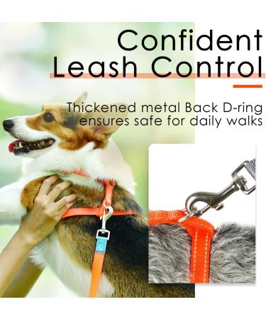 ThinkPet No-Pull Dog Harness & Leash Set - Breathable Adjustable Safe Control for Small Medium & Large Dogs - Reflective Padded Orange (1 Pack) - Buy Online on GoSupps.com