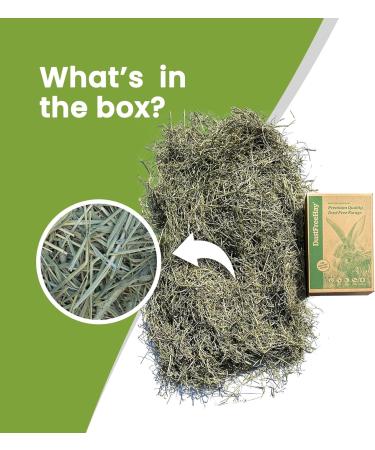 Lunnun Trading & Sales LTD Timothy Hay Premium Quality Dust-Free Green 100% Natural Timothy Hay for Rabbits Guinea Pigs Hamsters and all Small Animals - 5 KG 5.00 kg (Pack of 1) - Buy Online on GoSupps.com