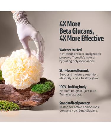 FreshCap Functional Mushroom Bundle Reishi Capsules + Tremella Capsules + Lion s Mane Powder Sticks | Daily Balance Clarity & Natural Wellness | 3-Product Variety Pack - Buy Online on GoSupps.com