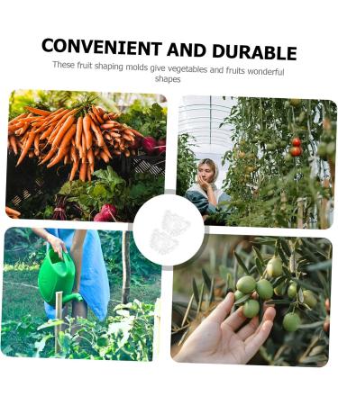 Kisangel 2pcs Ingot Shaped Mold Vegetables Cucumber Mold Fruit Growing Shaper Gardening Supplies Stereotypes - Buy Online on GoSupps.com