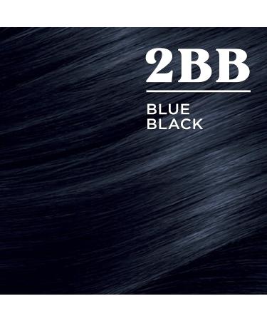 Clairol Nice'n Easy Permanent Hair Dye 2BB Blue Black 6.26 Fl Oz - Pack of 1 - Buy Online on GoSupps.com