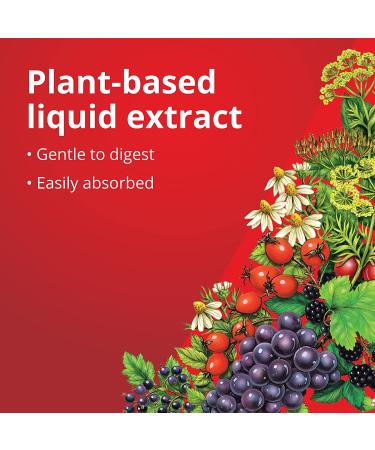 Floradix Floravital Iron & Herbs Vegan Supplement - Energy Support, 17 Fl Oz - Buy Online on GoSupps.com