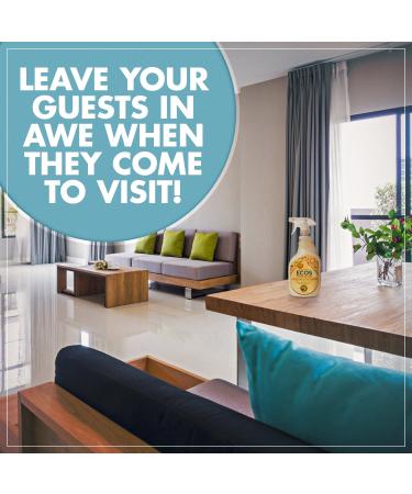 Eco-Friendly Furniture Polish - 22 Oz | Earth Friendly Products - Buy Online on GoSupps.com