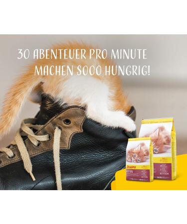 Josera Kitten 400g - Super Premium Dry Cat Food for Optimal Development | Buy Internationally - Buy Online on GoSupps.com