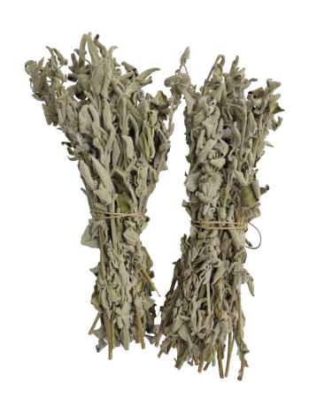 Wild Greek Sage Herbal Tea Whole Bunch Premium Quality 220g - 1.95Kg Salvia Triloba (950 grams)