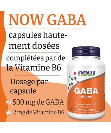 Now Foods GABA 500 mg 100 Vegetable Capsules Laboratory Tested Vitamin B6 Gluten Free Soy Free Vegetarian - Buy Online on GoSupps.com