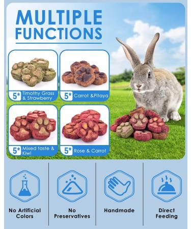 Bissap 20PCS Bunny Chew Toys - Natural Timothy Hay Rose Carrot Fruit Chinchillas Chewing Treats for Rabbits, Guinea Pigs, Hamsters - Small Animal Molar Snacks - Buy Online on GoSupps.com