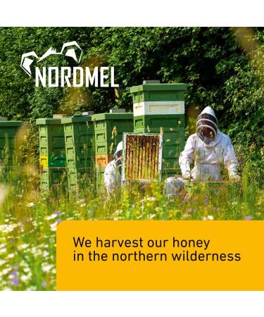 Nordmel Pure Natural Soft Honey 2 KG (8 * 250 gram Cups) - Unpasteurised Unfiltered Crystallized Natural Honey - Buy Online on GoSupps.com