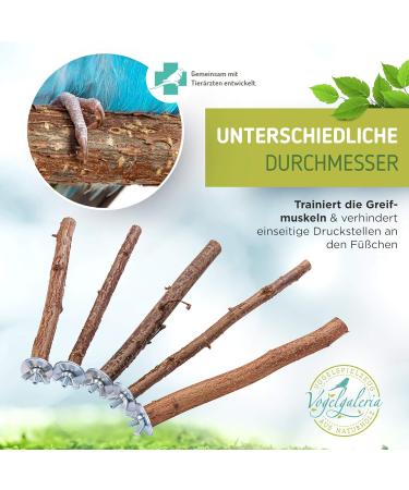 Vogelgaleria Natural Wood Poles for Birds | Budgie Nymphic Canary Agapornid Accessories | Essential Bird Cage Supplies - Buy Online on GoSupps.com