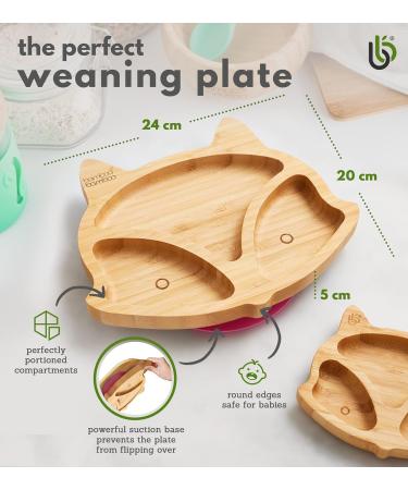 Bamboo Fox Baby Suction Plate | Secure Suction for Easy Feeding and Weaning | Ideal for Babies 6 Months and Up - Buy Online on GoSupps.com