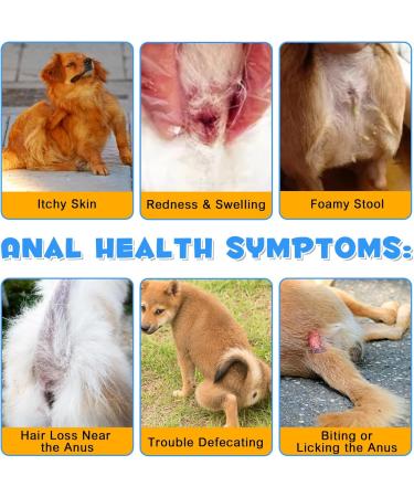 Dog Anal Gland Support Powder 120G Suppl ment De Fibres en Poudre pour Le Soutien De La Glande Anale Suppl ment De Fibres en Poudre Enrichi De Concombre Probiotiques Et Enzymes Digestives - Buy Online on GoSupps.com