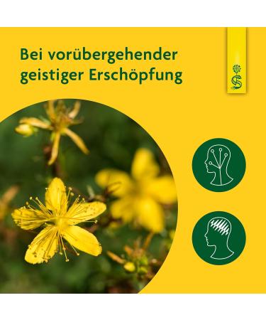 Schoenenberger St. John's Wort Natural Cleaning Juice - 600 ml (3x200 ml) Glass Bottles for Mental Exhaustion Relief - Buy Online Now - Buy Online on GoSupps.com