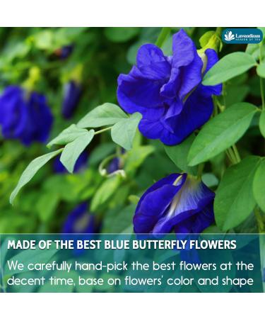 Lavendium CA Premium 220g (7.76oz) Blue Butterfly Pea Flowers 100% Natural & Pure from Blue Butterfly Pea Flowers Dried Wildcrafted Blue Pea Flowers Tea Butterfly Pea Flowers Loose Leaf Herbal Tea No Gluten Vegan - Buy Online on GoSupps.com
