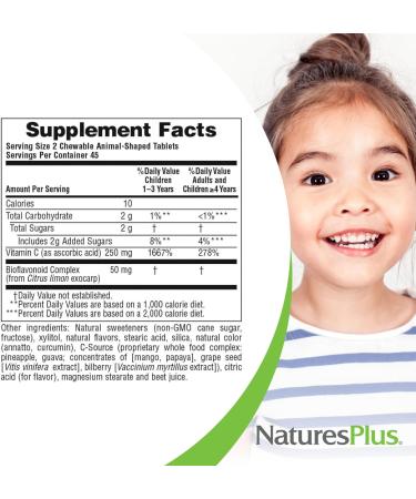 NaturesPlus Animal Parade Vitamin C Chewable Tablets for Kids - Vegan Gluten-Free - Natural Orange Flavor - 90 Animal-Shaped Tablets (Pack of 2) - Boost Immunity - Buy Online on GoSupps.com