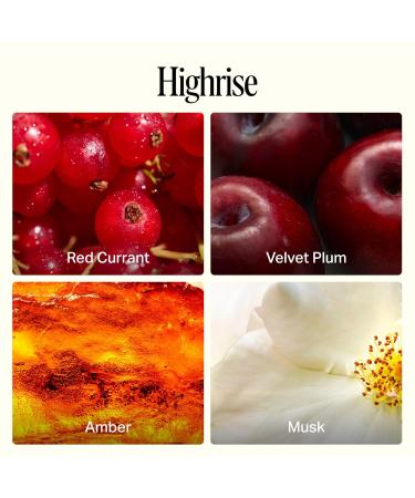 Preston Lane Luxury Hand Wash Highrise Scent | Hydrating and Nourishing Formula with Organic Oils Active Kiwi and Apple Water and Vegetable Glycerin | Gentle Cleansing Vegan and Cruelty Free - Buy Online on GoSupps.com