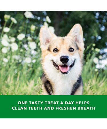 Wag Dental Dog Treats - 36 Count Pack to Clean Teeth & Freshen Breath - Buy Online on GoSupps.com