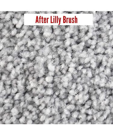 Lilly Brush Mighty Pet Hair Detailer with 52 Steel Handle - Perfect for Removing Dog and Cat Hair from Carpets and Rugs - Buy Online on GoSupps.com