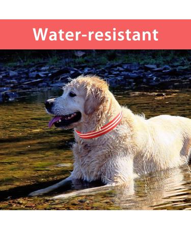 Buy Waterproof Luminous Dog Collar - Adjustable LED Flashing Light for Small & Medium Dogs | Enhanced Night Visibility (Red 28-40cm) - Buy Online on GoSupps.com