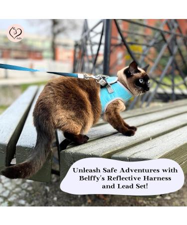 Belffy Cat Dishes & Automatic Leash Set for Cats Kittens Puppies | Outbreak-proof Jacket for Small Medium & Large Pets (Medium Blue) - International Shipping - Buy Online on GoSupps.com