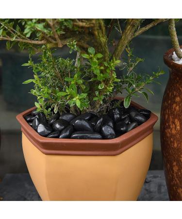 Hisredsun 3.96 lb Black Polished Stones Natural River Pebbles Gravel for Aquarium Flowerpot Landscaping Vase Fillers and Garden Decoration 1.8 Kilograms Black - Buy Online on GoSupps.com