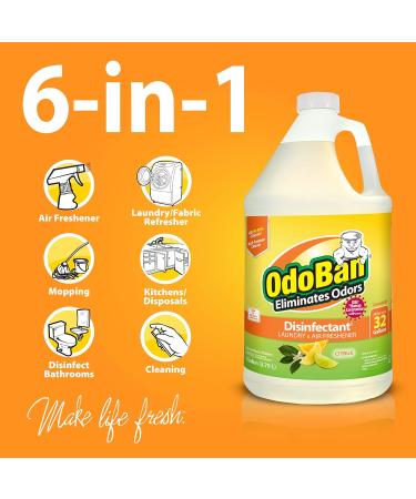 OdoBan Disinfectant Concentrate & Odor Eliminator - 1 Gallon Citrus Scent | Effective International Shipping - Buy Online on GoSupps.com