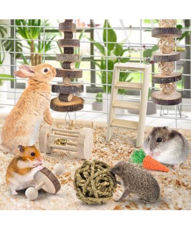 ERKOON Hamster Chew Toys 13 Pack Gerbil Toys Natural Wooden Small Animal Toys Teeth Care Molar Toy Boredom Breaker Treats Dumbbells Exercise Bell Roller for Rat Guinea Pig Chinchilla Rabbits - Buy Online on GoSupps.com
