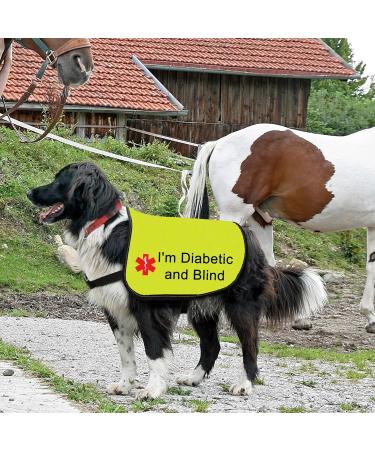 Funny Nervous Dog Jacket Vest Nervous of Dogs But Loves People Dog Slogan Vest Friendly Dog Gift (Diabetic and Blind-Large) - Buy Online on GoSupps.com