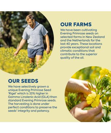 Efamol High Strength Evening Primrose Oil 60ml - Omega 6 GLA + Vitamin E - 115mg GLA - Dropper - Buy Online on GoSupps.com