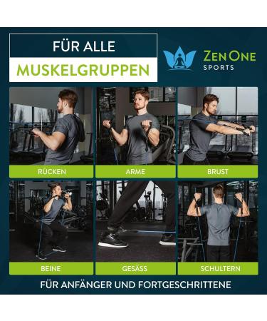 Zenone Sports Resistance Fitness Bands - 5 Robust Resistance Tapes for Home Workout - Premium Blue Fitness Straps - Train Anytime Anywhere! - Buy Online on GoSupps.com