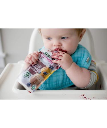 Sprout Organic Baby Food - Blueberry Banana Oatmeal (6+ Months) 3.5 oz - Buy Online on GoSupps.com