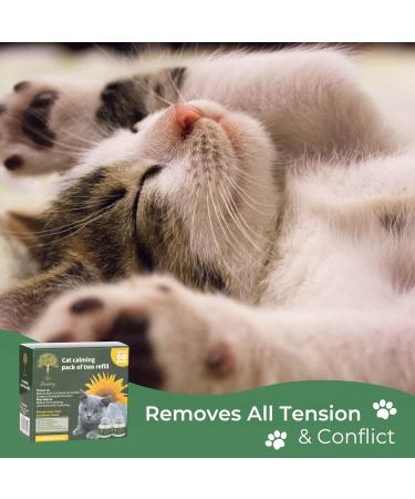 Daintry Cat Calming pack of two Refills for Diffuser With Sunflower Smell .Diffuser not included - Buy Online on GoSupps.com