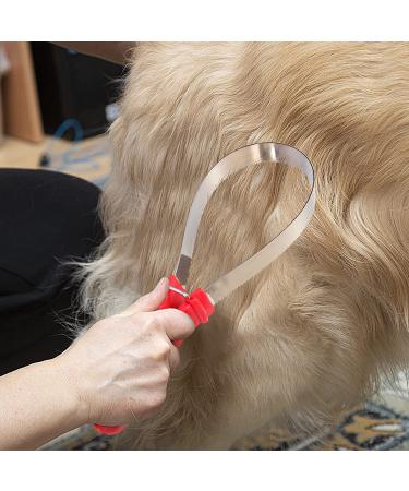 Stainless Steel Shedding Blade for Dogs & Horses - NRTFE Shedding Blade Scraper with One Loop - Buy Online on GoSupps.com