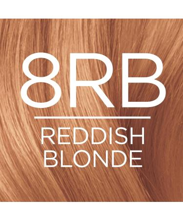 L'Oreal Paris Excellence Creme 8RB Medium Reddish Blonde Hair Color - Gray Coverage, Triple Care Formula, Long-lasting Results - 1 Count - Buy Online on GoSupps.com