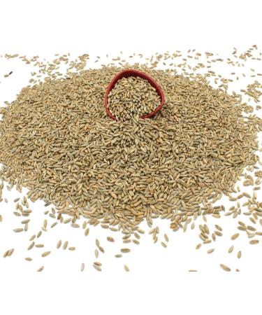Organic Rye Grain 500g - Whole Grain, Vegan, Raw, GMO-Free - Ideal for Baking and Cooking - Thames Organic - Buy Online on GoSupps.com