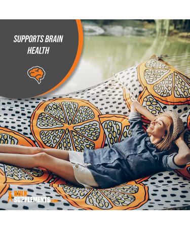 Lion's Mane Mushroom Extract Powder - Memory & Focus Brain Supplement - 500g (1.1 lbs) - Buy Online on GoSupps.com