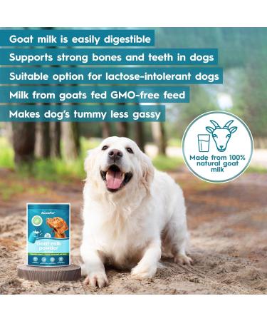 AmeizPet 100% Natural Goats Milk Powder For Dogs Powder To Create Delicious Goats Milk Perfect for Hydration Nutrient Rich Sensitive Tummy Dog Food Topper 200g (7 Oz.) Goat milk powder 200 g - Buy Online on GoSupps.com